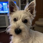 Debra McKenzie - @debsat63 - Instagram