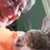 Debra McLaughlin - Facebook