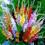 Debra McLeod - @debra.mcleod.771 - Instagram