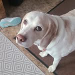 Debra McPeak - @mcpeak8775 - Instagram