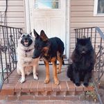 Debra Ann McPhail Tammone - @mcphailtammone - Instagram