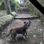 Debra Mcphail - @debra.mcphail - Instagram