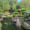Debra McRae - @debra.mcrae45 - TikTok