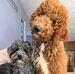 Deborah Medlock - Facebook
