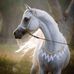 Debbie Meece - Facebook