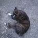 Debra Meece - Facebook