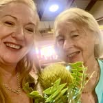 Deb Westbury Meier - @debrameier - Instagram