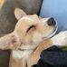 Debbie Mendenhall - Facebook