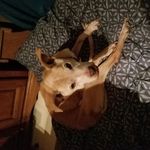 Debra Morin - @debr.a574 - Instagram