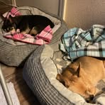 Debra Morrison - Facebook