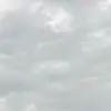 Debra Morrison - @user370944225 - TikTok