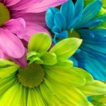 Debra Mosher - @debra.mosher.581 - Instagram
