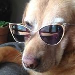 Debra Mosher-Treto - @moshertreto - Instagram