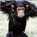 Debra Murillo - Facebook