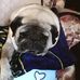 Debra Neely - Facebook