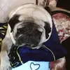 Neely - @debraneely7 - TikTok
