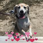 Debra Nicholas - @debnich0917 - Instagram
