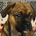 Debra Nickerson - Facebook