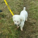 Debra Noble-smith - @debragatford - Instagram