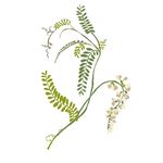 Debra Norton - @foragedhomeandgarden - Instagram