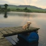 Debra Norton - @nortondebifai - Instagram