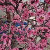 Debra Norton - @debra.norton3 - TikTok