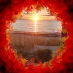 Debra Norton - @norton7290 - Instagram
