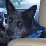 Debra Norton - @debranorton967 - Instagram