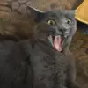 debranorton851 - @debranorton851 - TikTok