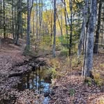 Debra Nowak - @debra.nowak.75 - Instagram