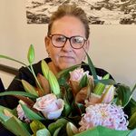 Debra Nugent - @debra.nugent.79 - Instagram