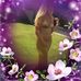 Debra Odonnell - Facebook