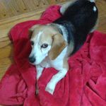 Debra Oldham - @debra.oldham.31 - Instagram