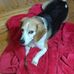 Debra Oldham - Facebook