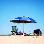 Debra Olmstead - @debraolmstead - Instagram
