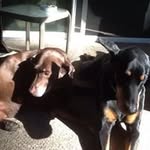 Debra Olmstead - @yobyesac - Instagram