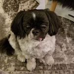 Debra Olszewski - @debraolszewski - Instagram