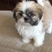 Debbie Scherer Olvera - Facebook