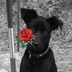 Debra Olvera - Facebook