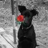Debra Olvera - @user193227892 - TikTok
