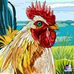 Debra Ommen - Facebook