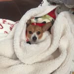 Debra oneal - @angel218520081996 - Instagram