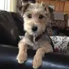 debraoneal835 - @debraoneal835 - TikTok
