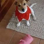 Debra Oosterbeek - @debraoosterbeek - Instagram
