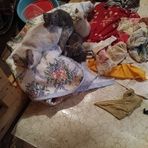 Debra Ormiston - Facebook
