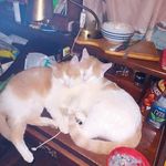 Debra Ormiston - @ormistondebra274 - Instagram
