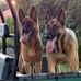 Deborah Orth - Facebook