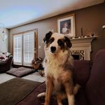 Debra Osborn - @debosborn1488 - Instagram