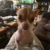 Debra Osborn - Facebook