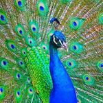 Debra Osborn-Hollaway - @osbornhollaway - Instagram
